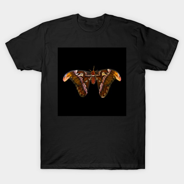 Insect T-Shirt by daengdesign66